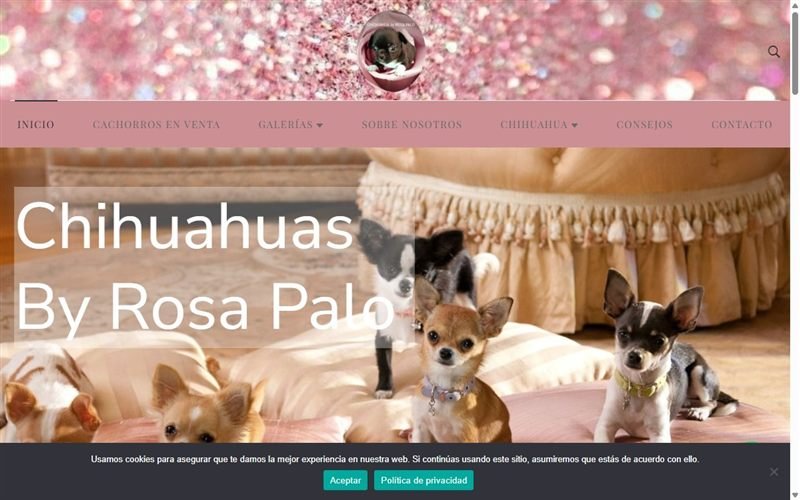 Web de criadero Chihuahuas by Rosa Palo